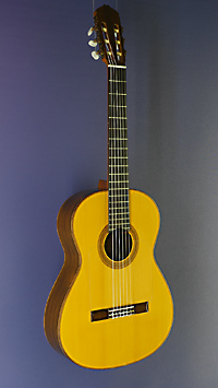 Antonio Marin Montero Meistergitarre Fichte, Palisander, 1995