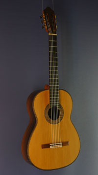 Antonius Müller Luthier guitar with cedar top (double top) and back and sides made of Brazilian rosewood, scale 65 cm year 2017