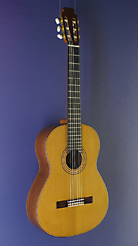 Dario Garcia Meistergitarre Zeder, Madagaskar Palisander, Baujahr 2021, Mensur 65 cm